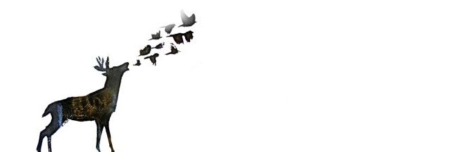 _wolframio's profile banner image