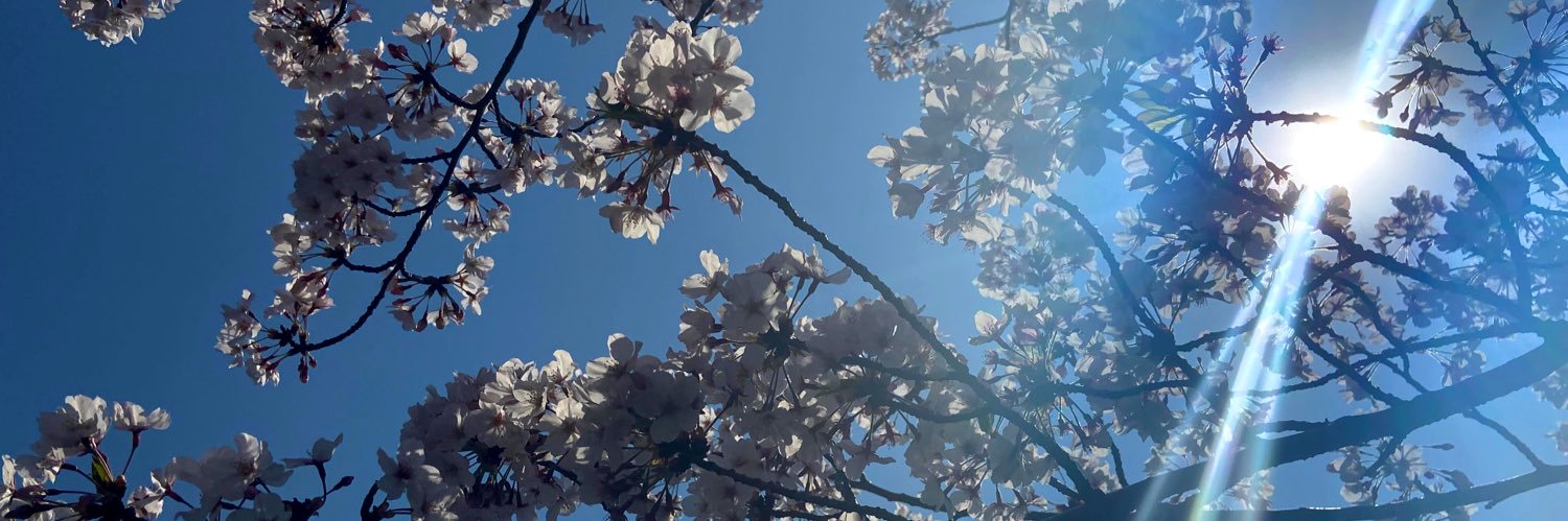 _you_meI's profile banner image