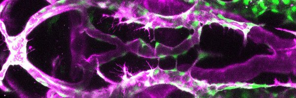 yale_fishcore Profile Banner