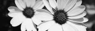 brittany_spitz's profile banner image