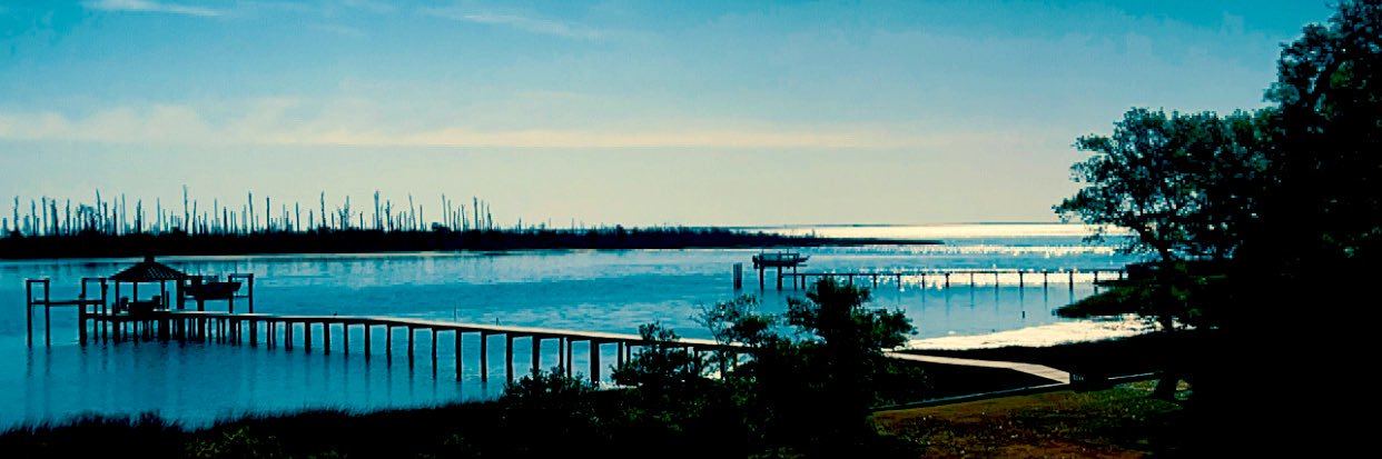 Carolina Fade banner