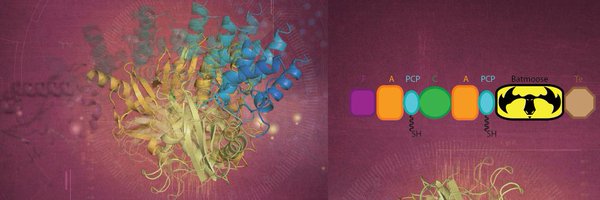SchmeingLab Profile Banner