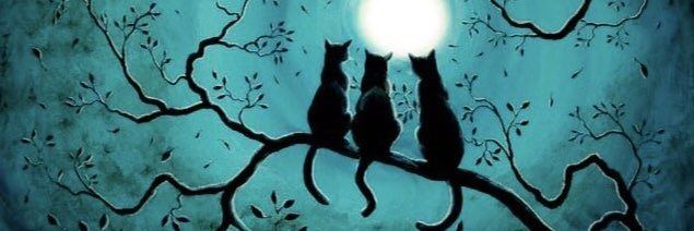 💜Anita💜🐈‍⬛🐈🐢🌊 banner