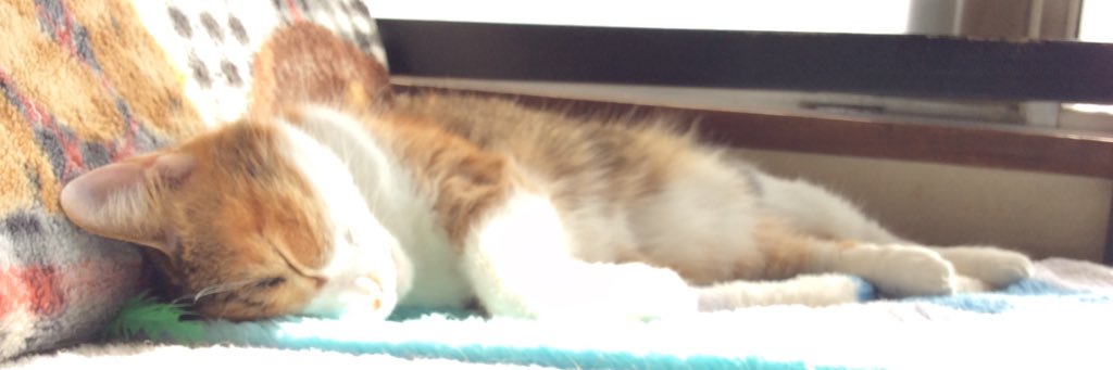 mmitsu's profile banner image