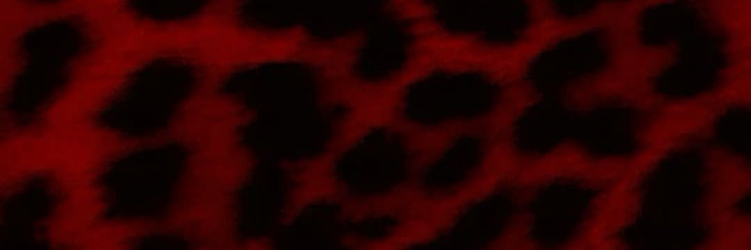 🦂 banner
