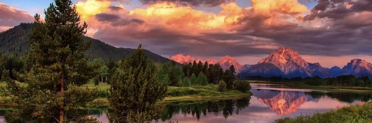 Rebecca Ferguson banner