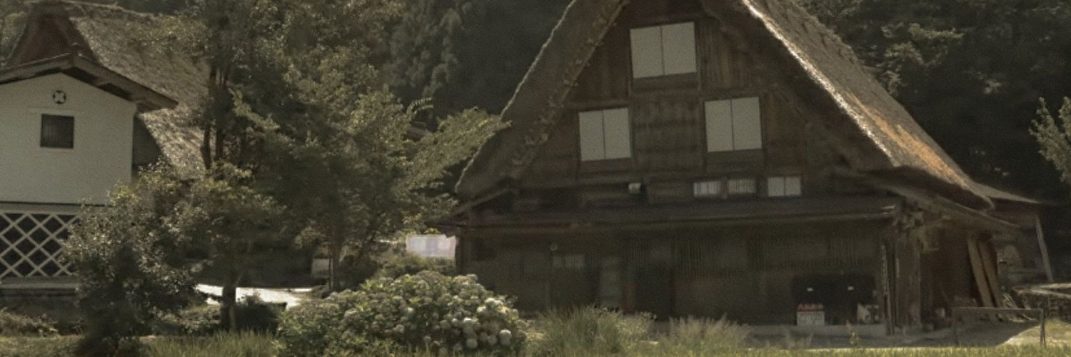 xinsoogirl's profile banner image