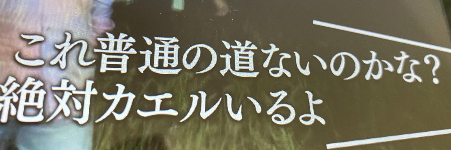 あたびち🐸 banner