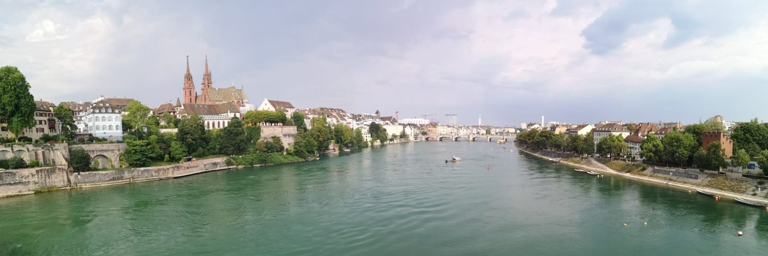 Junge SVP Basel-Stadt banner