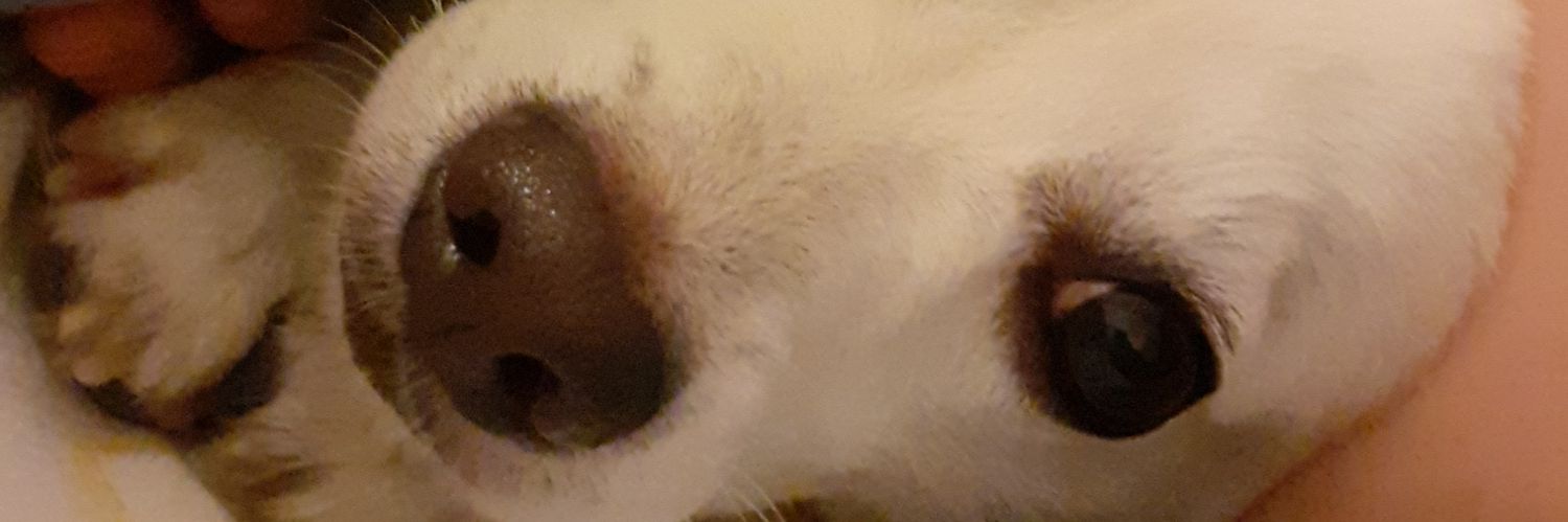 simdisoyleoluyo's profile banner image