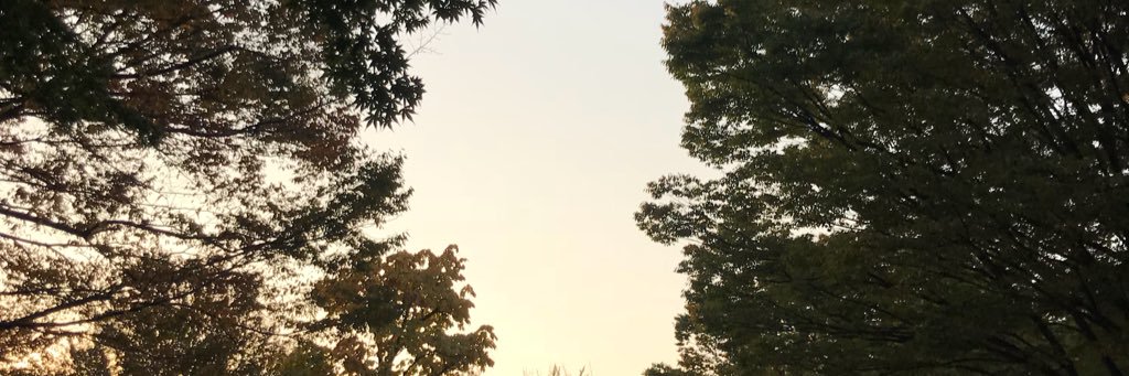 24h366d's profile banner image