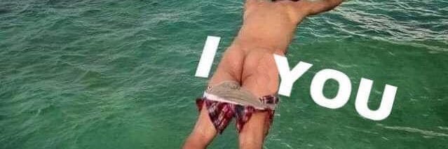 buckingtits's profile banner image