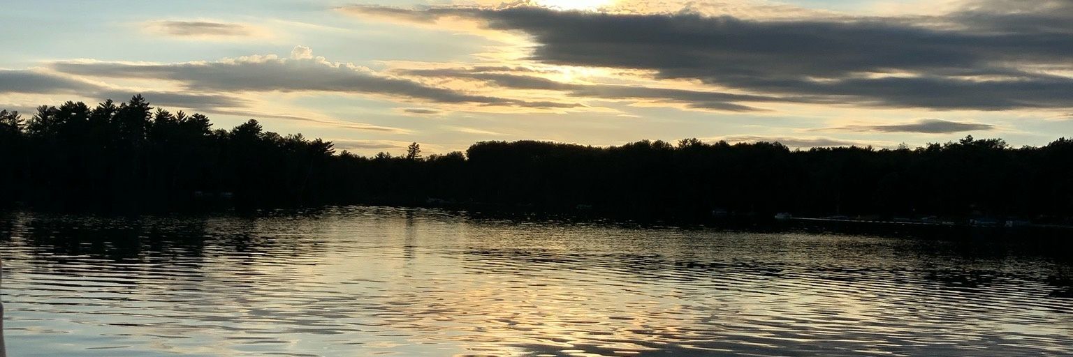 TStephenson1193's profile banner image