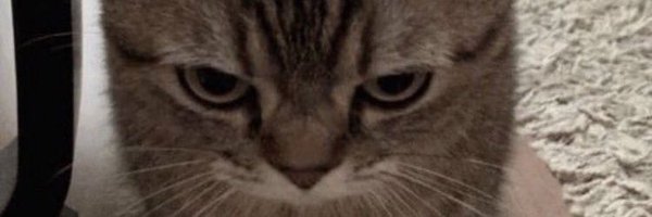 MAL_Lock Profile Banner
