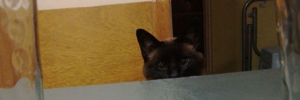 LautyDemonte's profile banner image