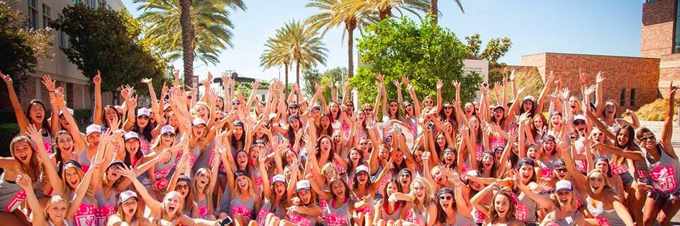 chapman_gphi's profile banner image