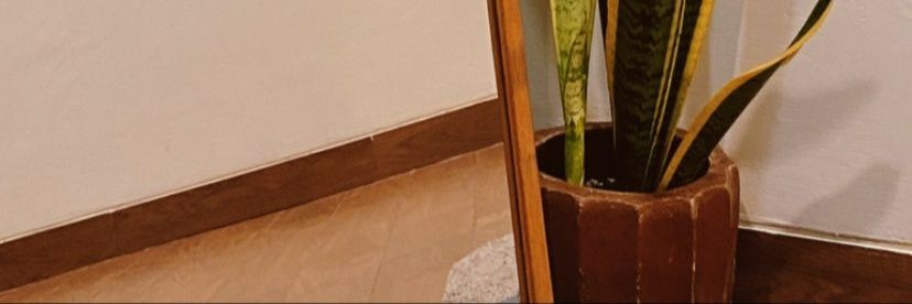 dontbelagu's profile banner image