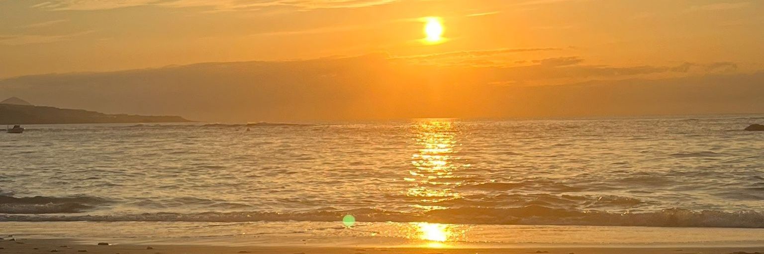 tu canarioo favv 🇮🇨 banner
