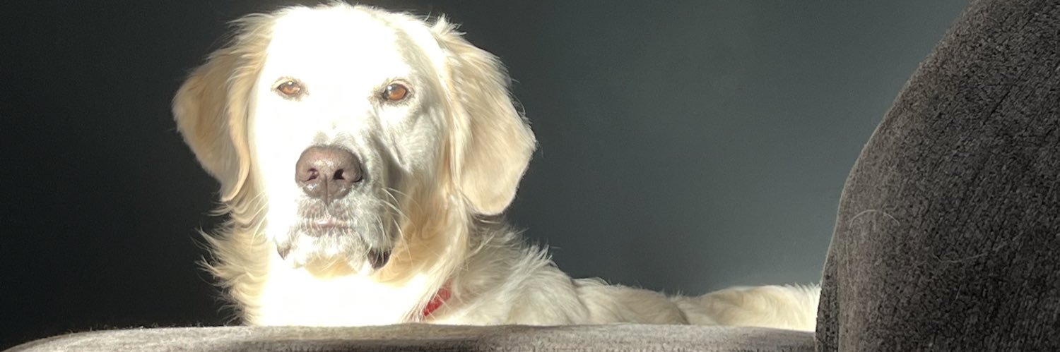 andersonzac4's profile banner image
