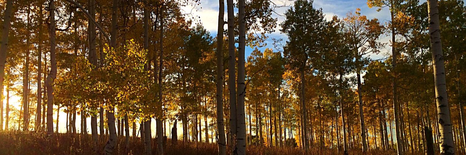 Mr_Muley's profile banner image