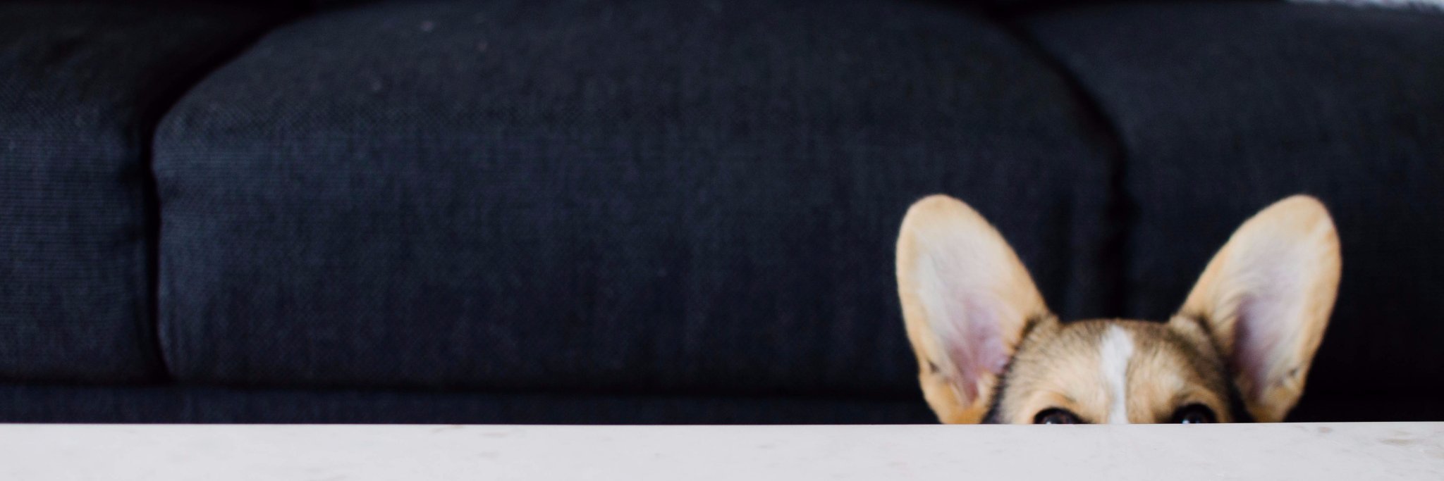 chenkristine's profile banner image