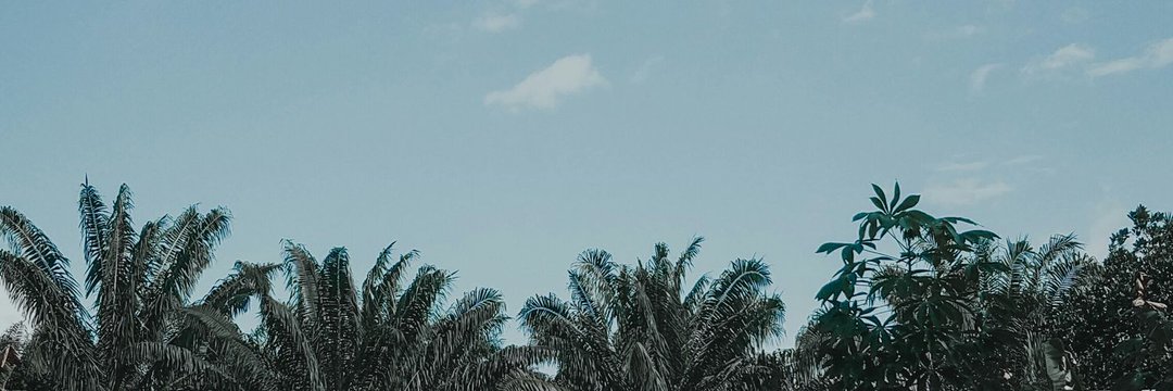 MuhamadAndri04's profile banner image