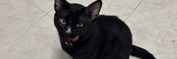 eerikaatm Profile Banner