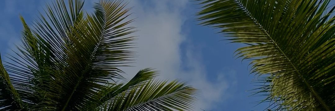 Filho de Deus  banner