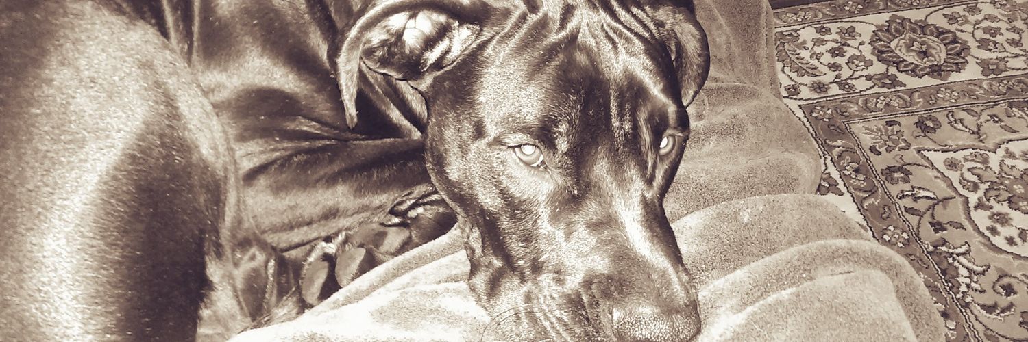theAlex_McCoy's profile banner image