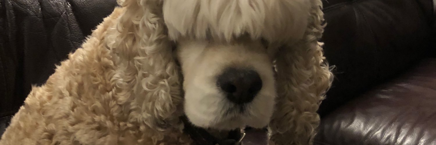 tarakjacobson's profile banner image