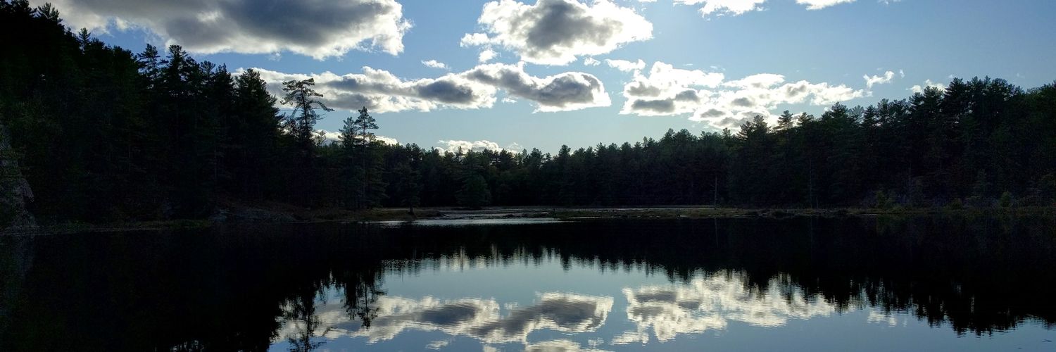 Katheryn Rothenberg banner