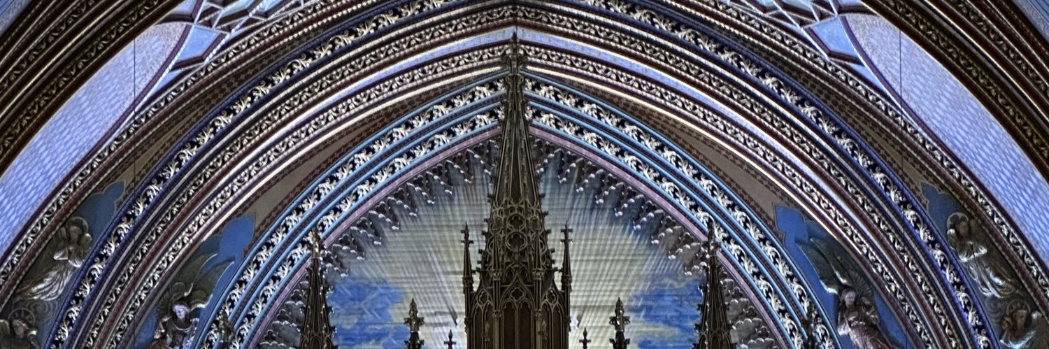 Democracy 🇺🇸 banner