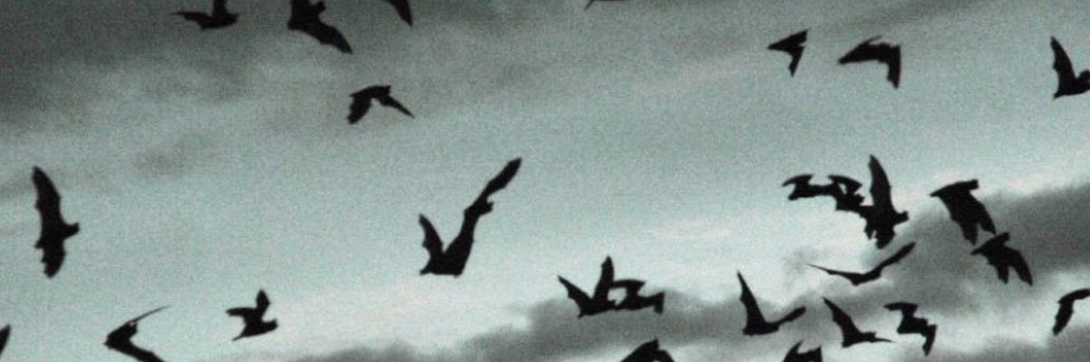 Abram Wright 🦇 banner