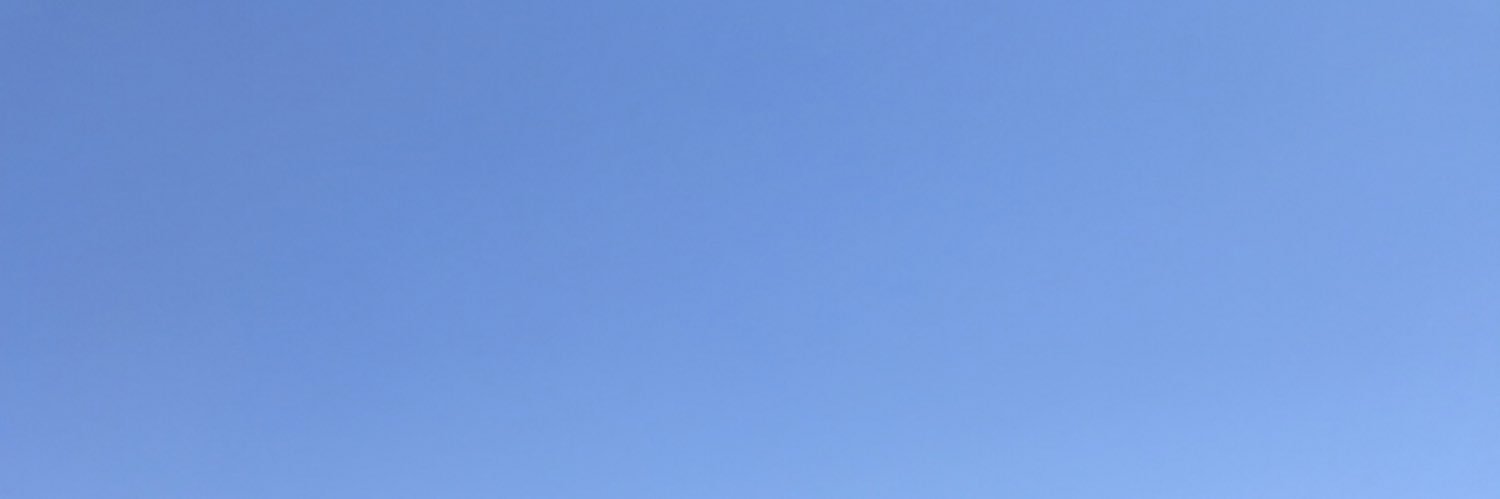 lillexc's profile banner image