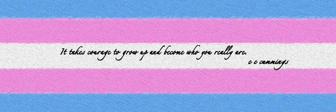 nicklybear_'s profile banner image