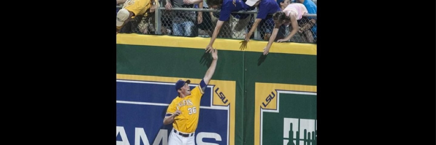 Will LaMarche banner