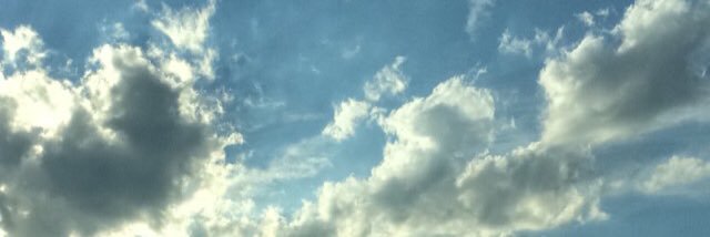 Stephh_harrod's profile banner image