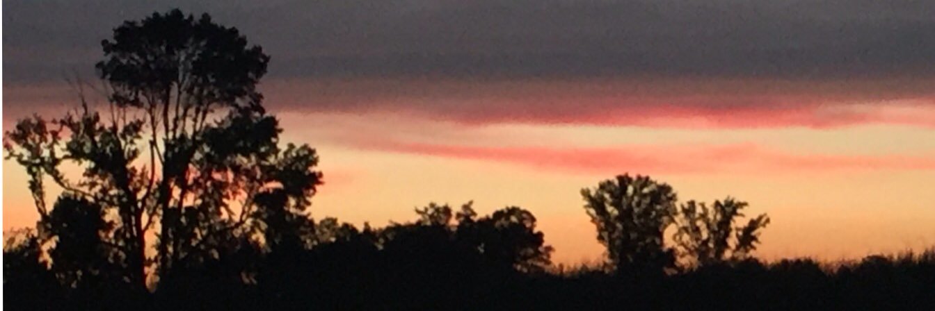 Lane Baker Westfaul banner