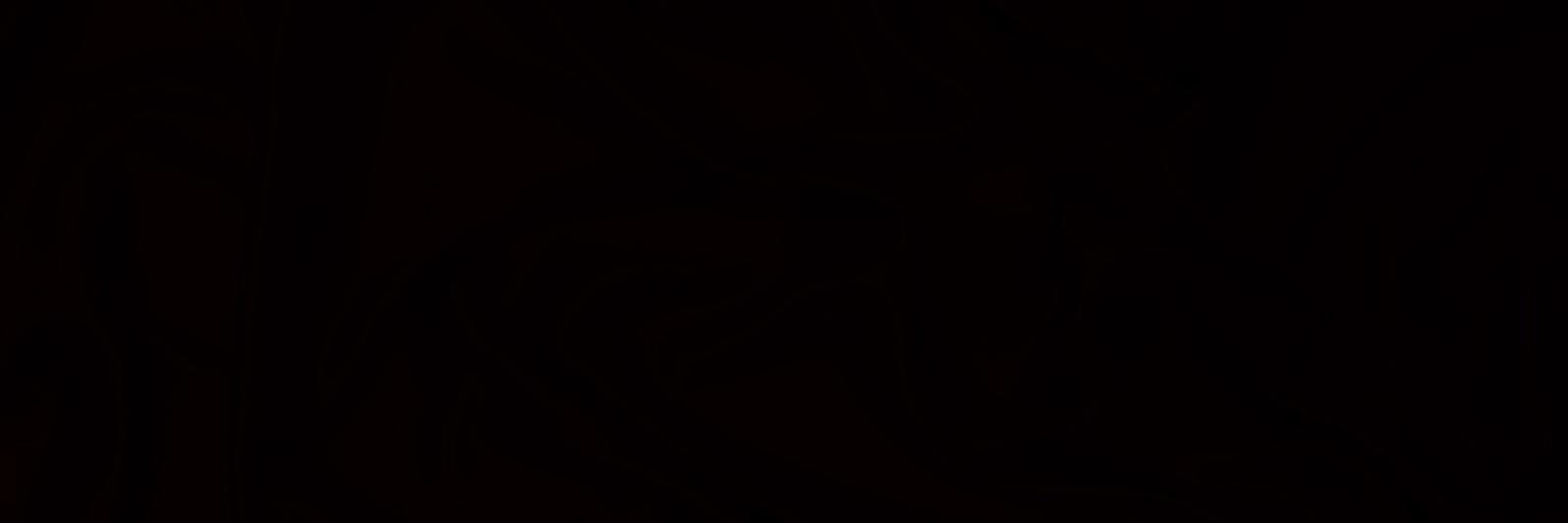 wholyfool's profile banner image