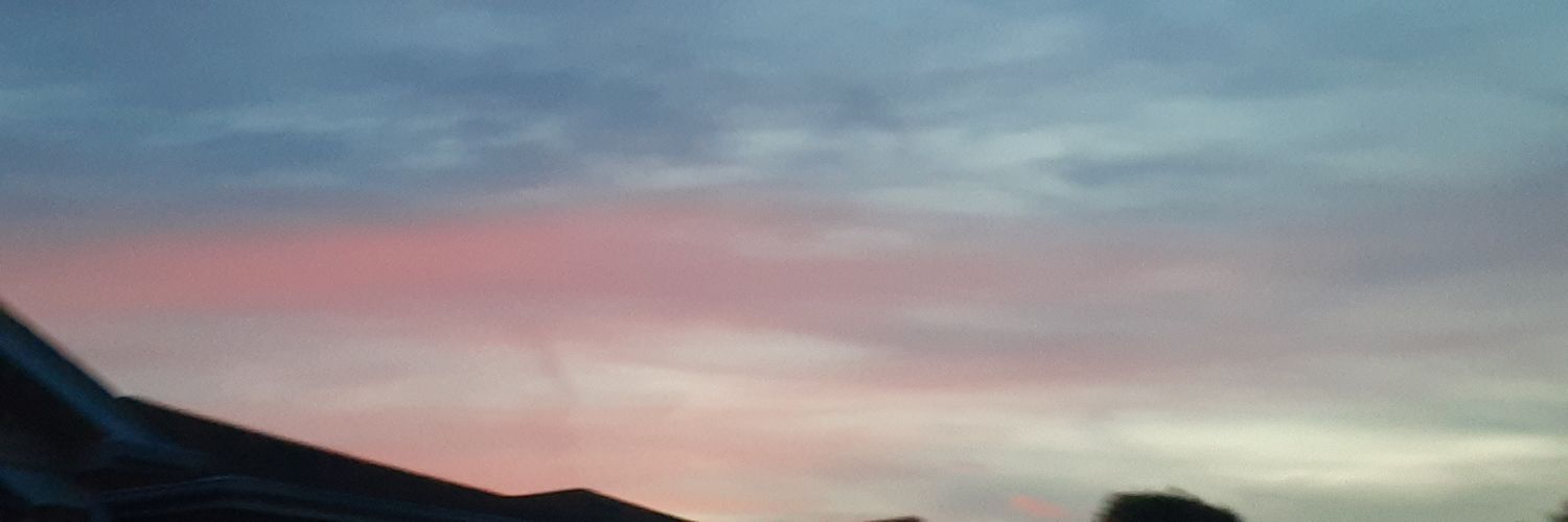 IStoleThisName banner