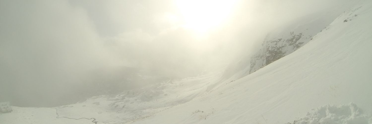 antdimit's profile banner image