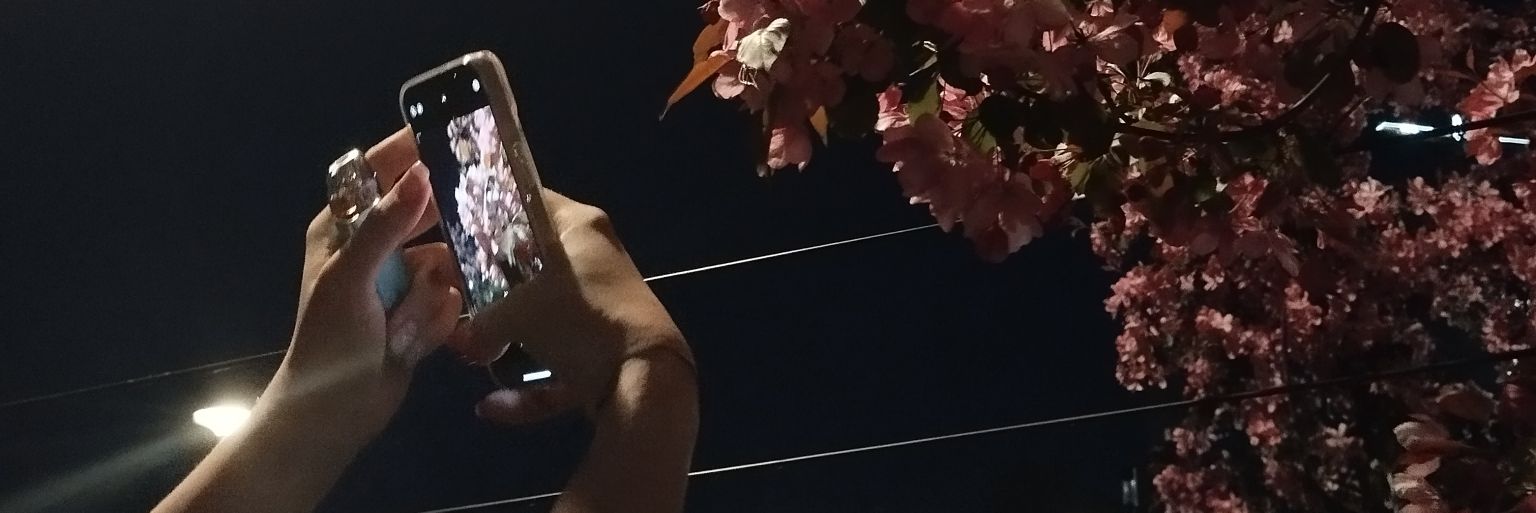 orypezz's profile banner image