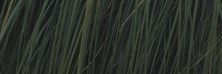 𖦹 banner