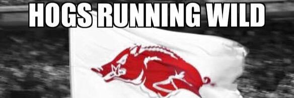 brianhogfan's profile banner image