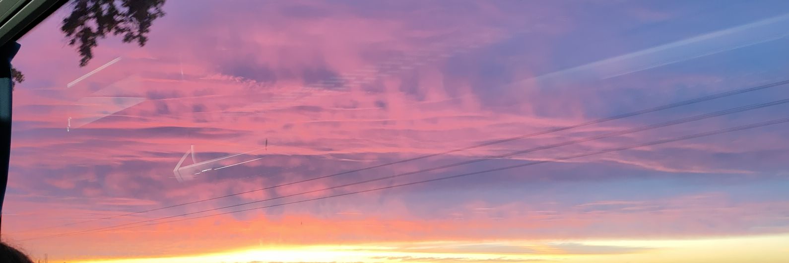 NoaMassimi's profile banner image