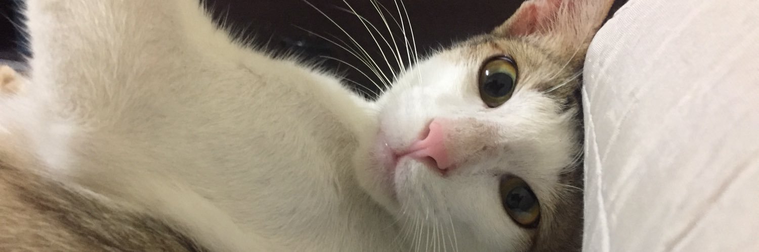 xdaniss_'s profile banner image