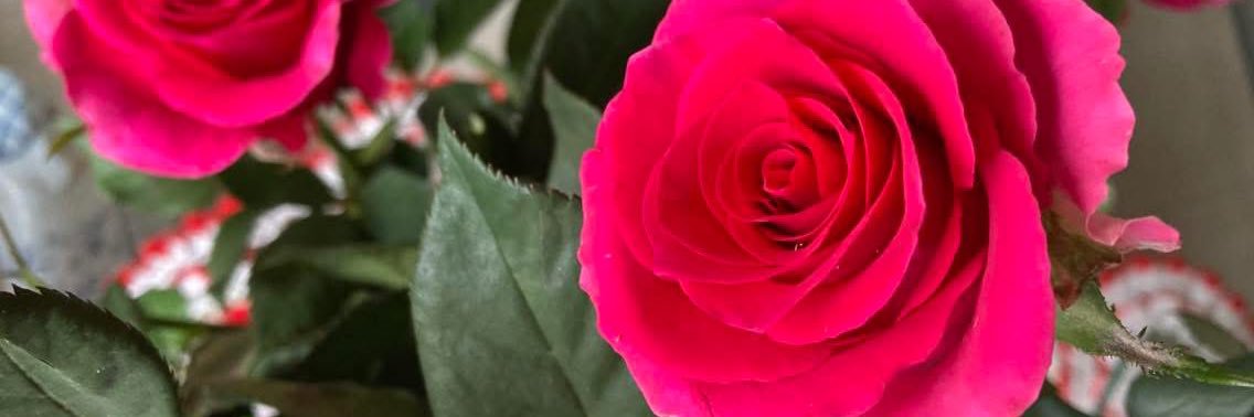 caridadsn's profile banner image