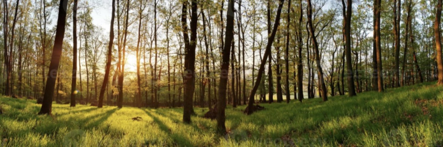 Jochem de Groot banner