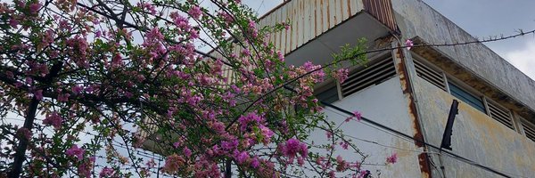 millkybunn Profile Banner