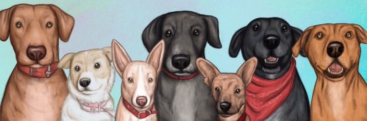 fcocynthia's profile banner image